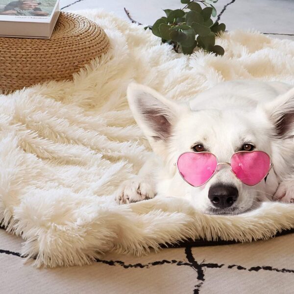 Tuddrom Decorative Extra Soft Fuzzy Faux Fur Throw Blanket 50" x 60",Solid Reversible Long Hair Shaggy Blanket,Fluffy Cozy Plush Comfy Microfiber Fleece Blankets for Couch Sofa Bedroom,Cream White - Image 2