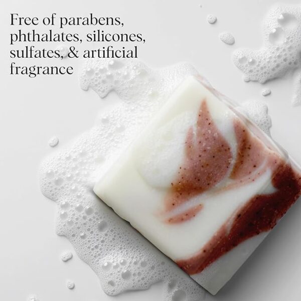 Kitsch Shea Butter Body Wash | Exfoliating Bar Soap for Women & Men | Moisturizing Shea Butter Bar Soap for Soft and Hydrated Skin | All Natural, Paraben Free and Vegan | Made in USA - 4 oz - Image 3