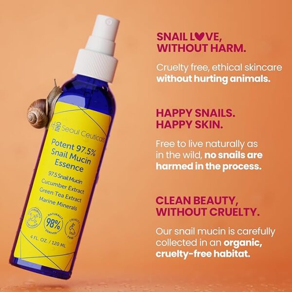 SeoulCeuticals Korean Face Mist 97.5% Snail Mucin Essence - K Beauty Skincare Facial Spray - Cucumber Extract + Marine Minerals + Green Tea + Aloe 4oz - Image 4